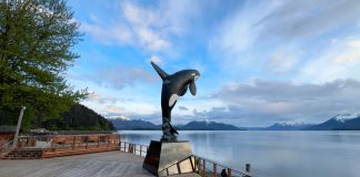 Alaska cruise ports Icy Strait Point Whale