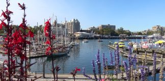 Alaska cruise ports - Victoria British Columbia