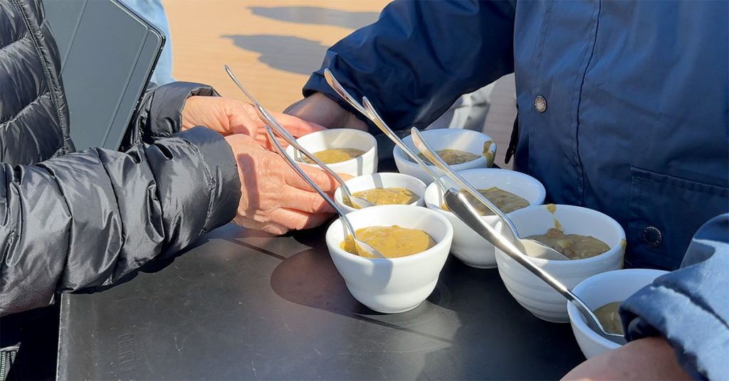 Pea Soup - Alaska cruise mistakes