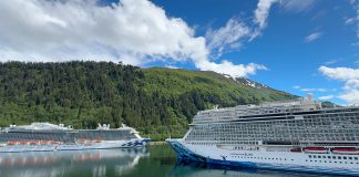 cruisers choose these cruise ines
