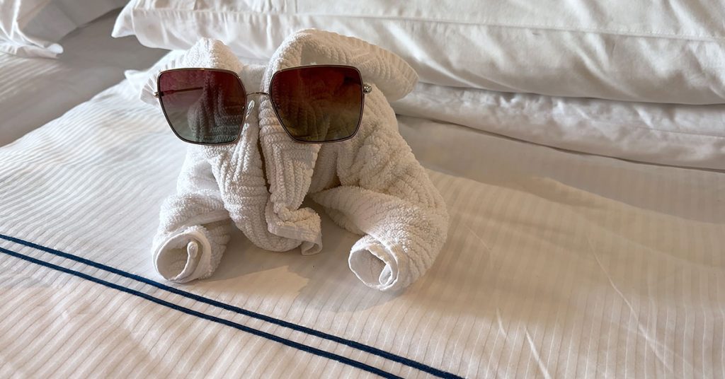 cruise essentials - towel animal