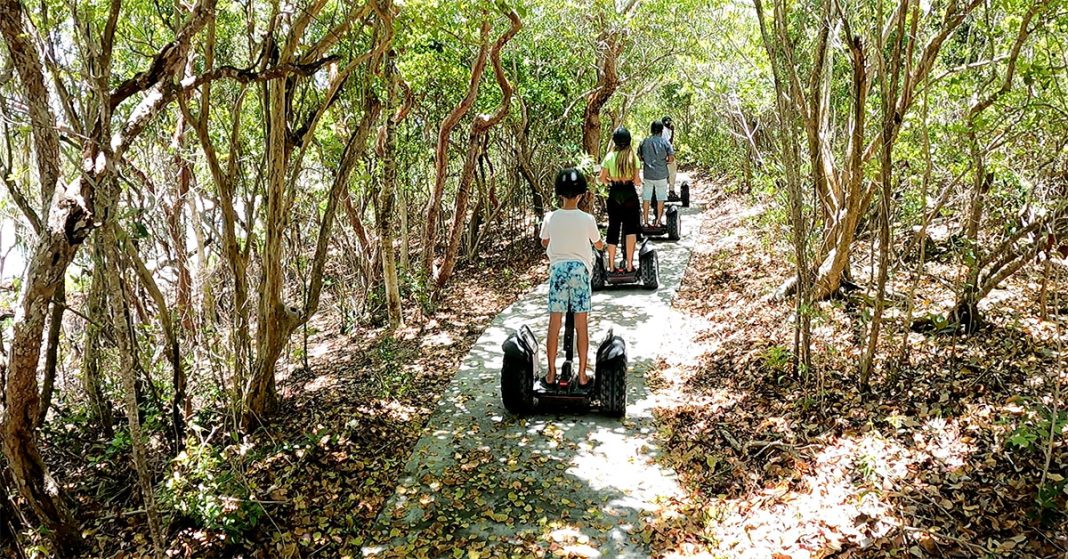 How To DIY Shore Excursions To SAVE Big | CruiseTipsTV