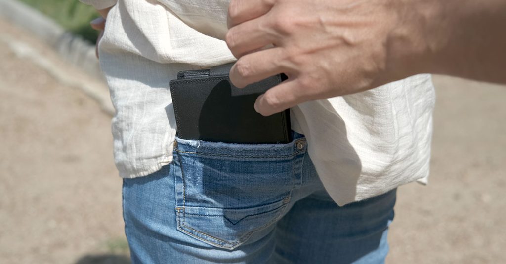cruise safe secure your wallet