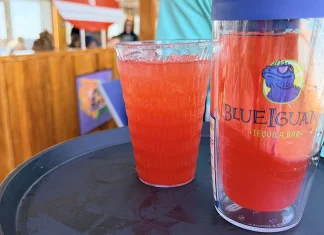 Carnival Fun Ship drink recipe