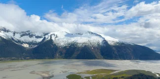 Is an Alaska Cruise Worth It in 2026